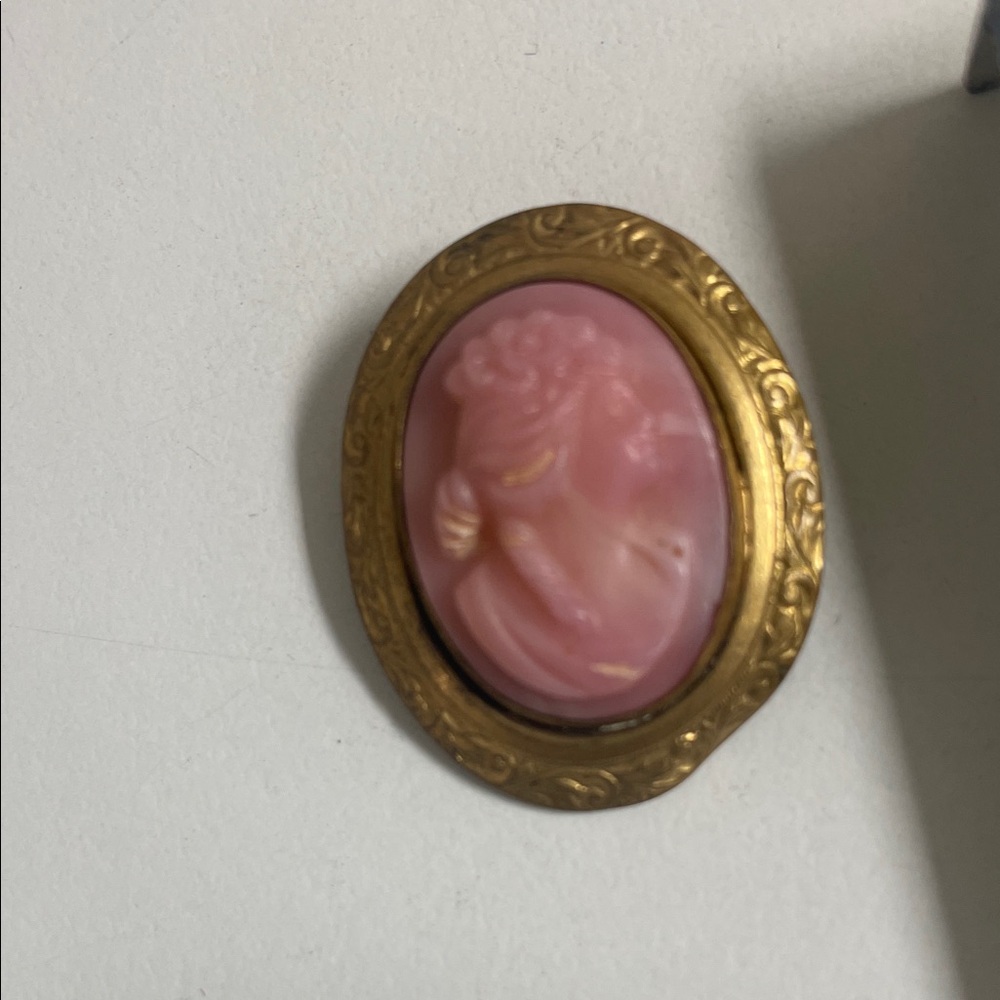 Source Unknown Pink and Gold Vintage-Style Cameo Brooch